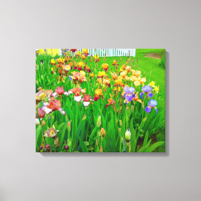 Flerfärgad Iris Flower Patch Canvas (Framsida)