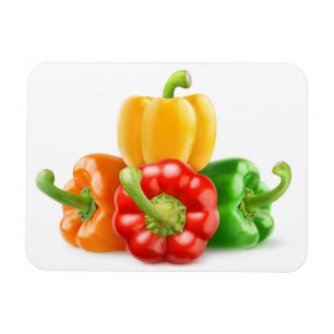 Flerfärgad paprika magnet