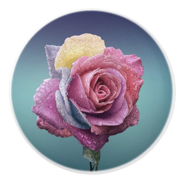 Flerfärgad Ro Knopp (Framsidan)