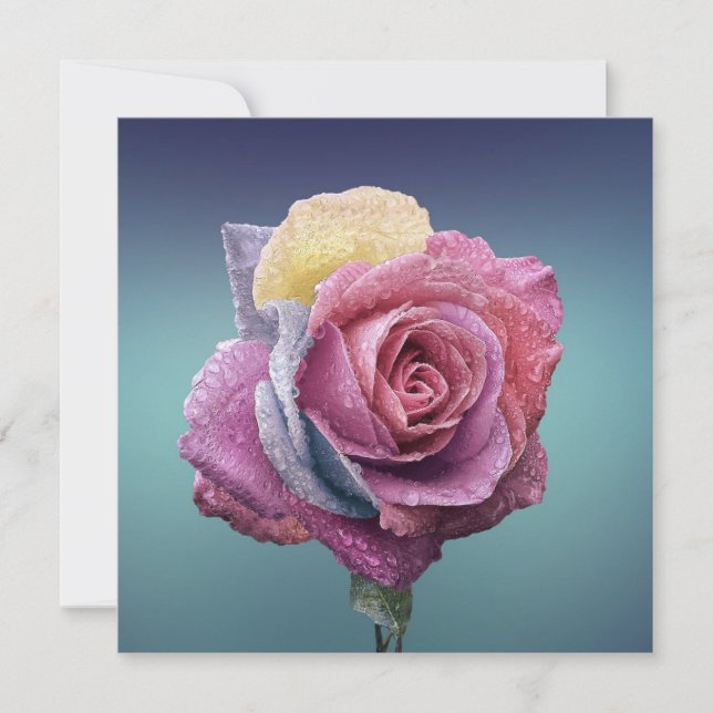 Flerfärgad Ro Kort (Framsida)