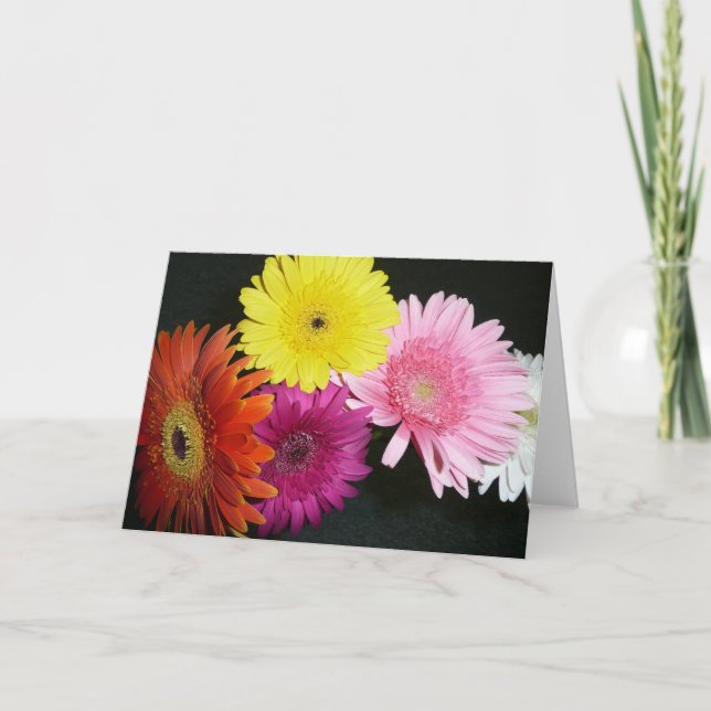 Flerfärgade groddar kort (Framsida)