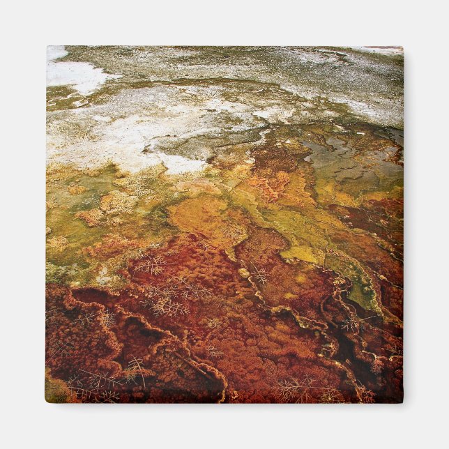 Flerfärgade mineralfyndigheter i gulsten magnet (Framsidan)