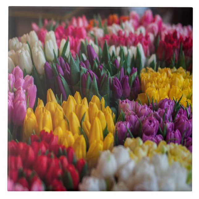 Flerfärgade rör kakelplatta (Framsidan)