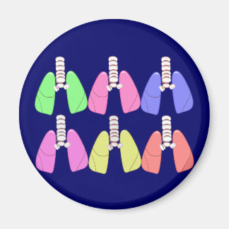 Flerfärgade solceller - Luftbehandlardesign Magnet