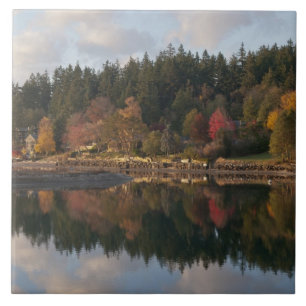 Fletcher Bay Kakelplatta