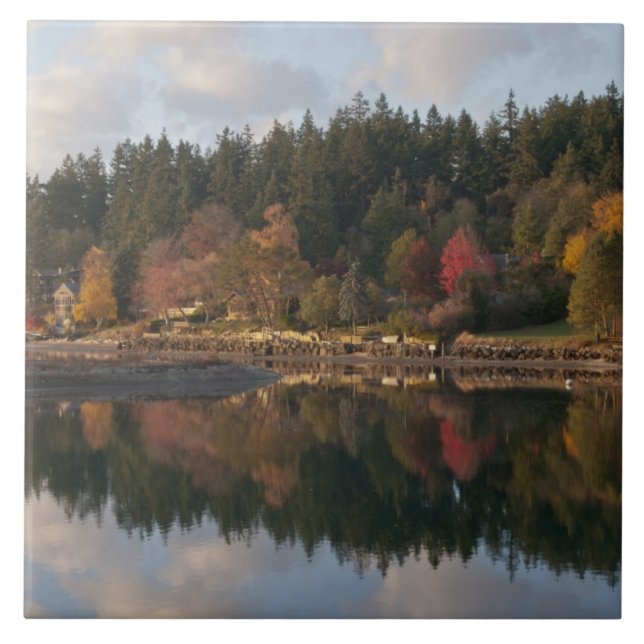 Fletcher Bay Kakelplatta (Framsidan)