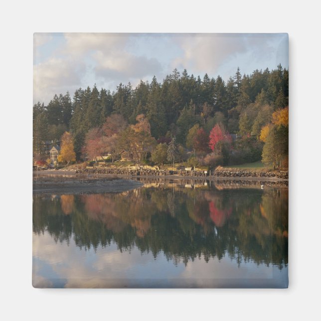 Fletcher Bay Magnet (Framsidan)