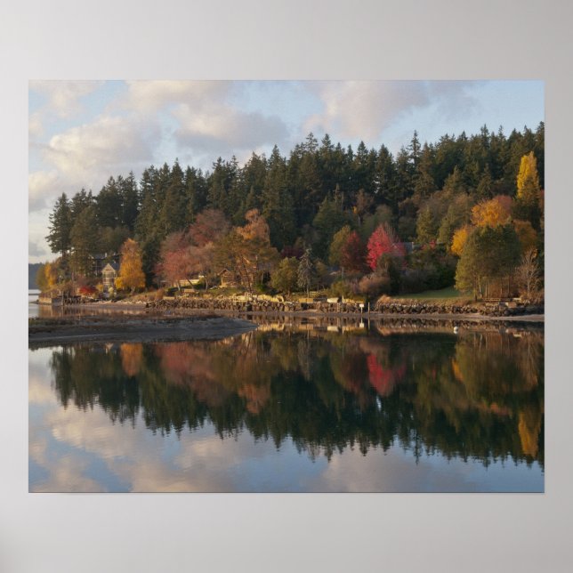 Fletcher Bay Poster (Framsidan)