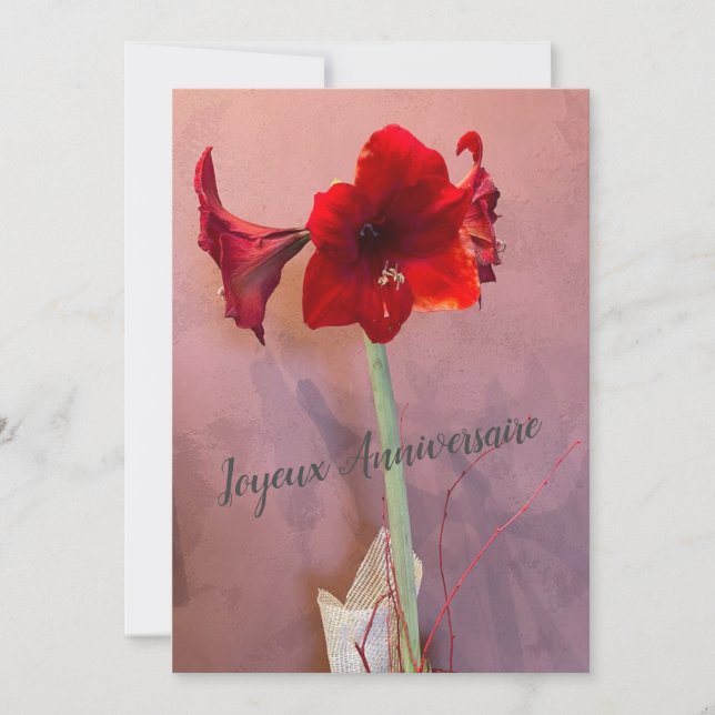 Fleur Amaryllis (Framsida)