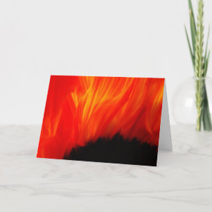 fleur de feu kort