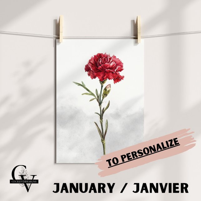 Fleur de janvier aquarelle botanique oeillet rouge poster (Fleur de Naissance du mois de Janvier : L'Oeillet)