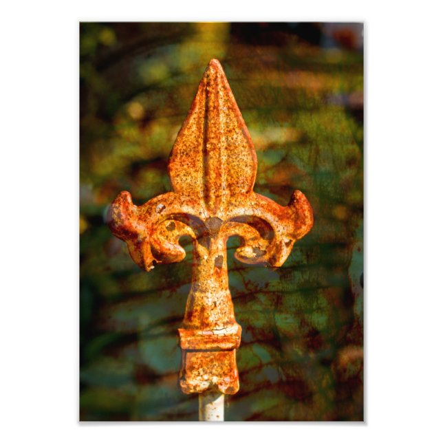 Fleur De Lis i Rust Fototryck (Framsidan)