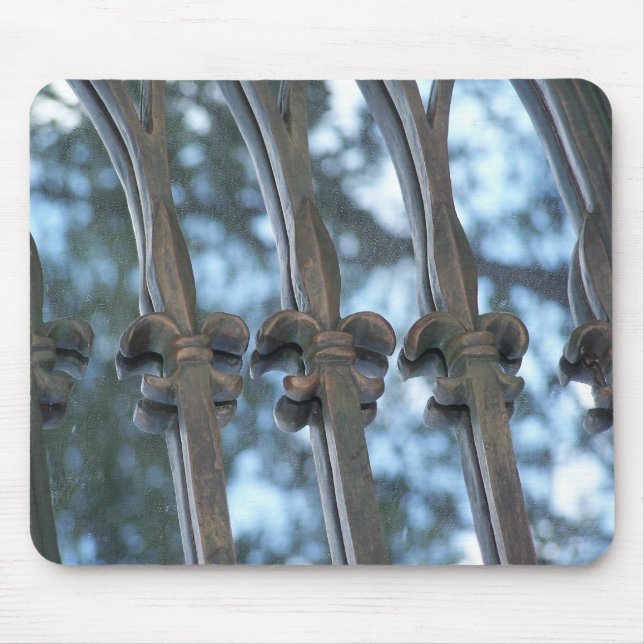 Fleur de Lis Musmatta (Framsidan)