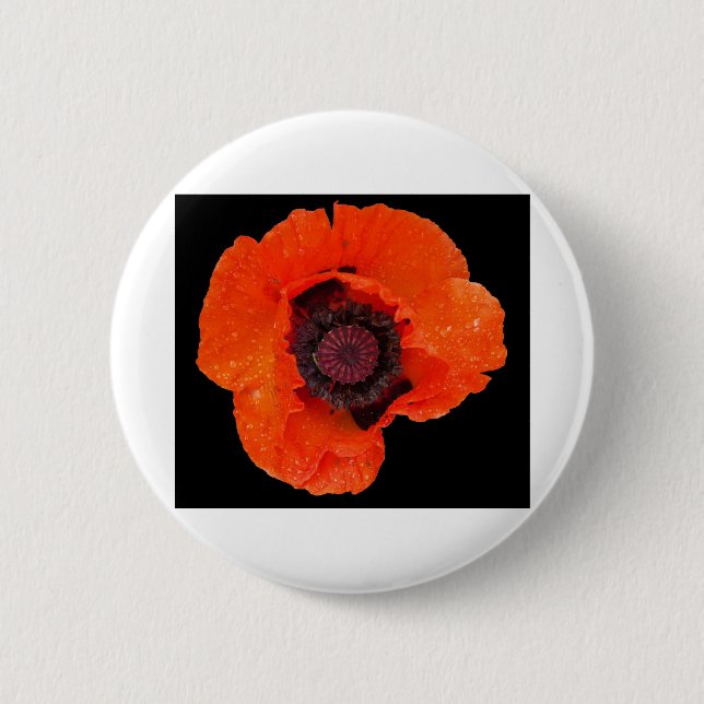 fleur de pavot après la pluie knapp (Framsida)