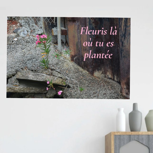 Fleuris là où tu es plantée Rosa Blommigt Poster (Skapare uppladdad)