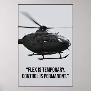 Flex är tillfälligt kontroll är permanent Citat Poster