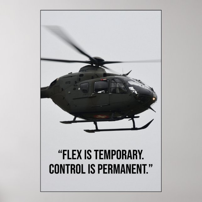 Flex är tillfälligt kontroll är permanent Citat Poster (Framsidan)