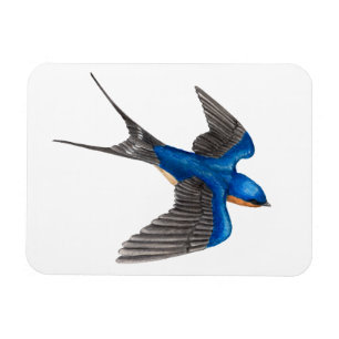Flexi för flygladugårdsvala magnet