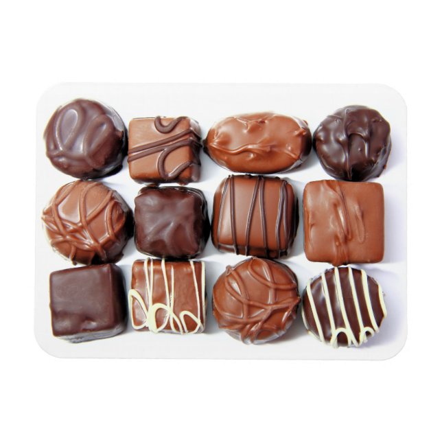 Flexi Magnet, adsorterat choklad Magnet (Horisontell)