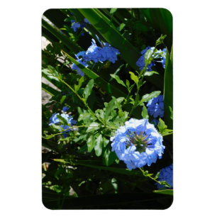 Flexibel design för fotomagnetblomma magnet