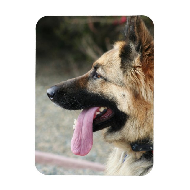 Flexibel fotomagnet för schepherd magnet (Vertikal)