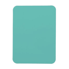 Flexibel fotomagnet magnet