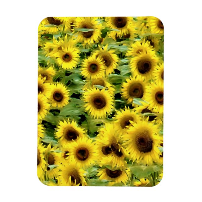 Flexibel fotomagnet magnet (Vertikal)