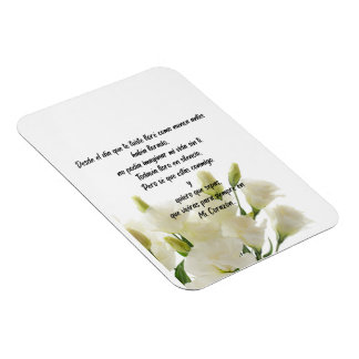 Flexibel fotomagnet magnet