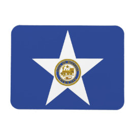 Flexibel fotomagnet med flagga av Houston Magnet