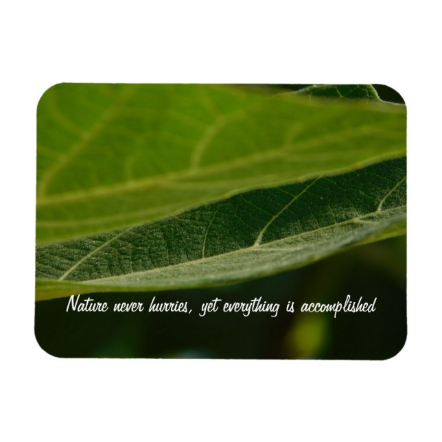 Flexibel fotomagnet "Träd löv" Magnet (Horisontell)