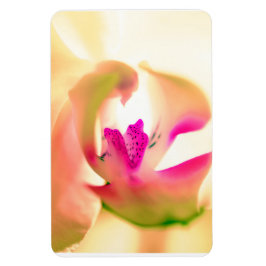 Flexibel fotopatortjänst för orkidédesign magnet