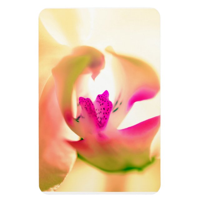 Flexibel fotopatortjänst för orkidédesign magnet (Vertikal)