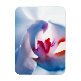 Flexibel fotopatron för orkidédesign i färg magnet
