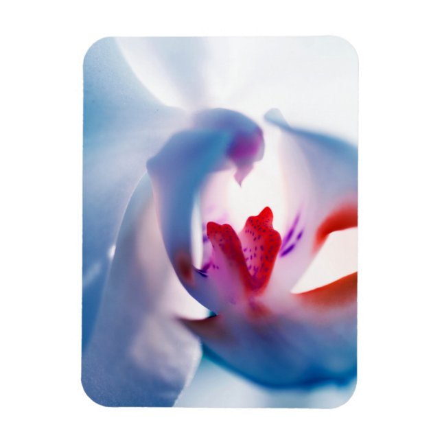 Flexibel fotopatron för orkidédesign i färg magnet (Vertikal)