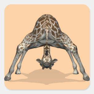 Flexibel giraffe fyrkantigt klistermärke