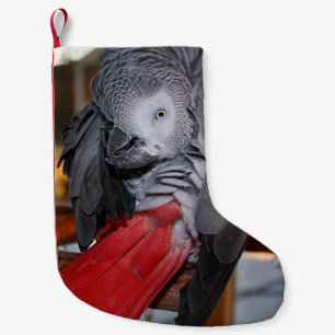 Flexibel Kongo Afrikas Grått Parrot med Röda Sva Liten Julstrumpa