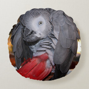 Flexibel Kongo Afrikas Grått Parrot med Röda Sva Rund Kudde