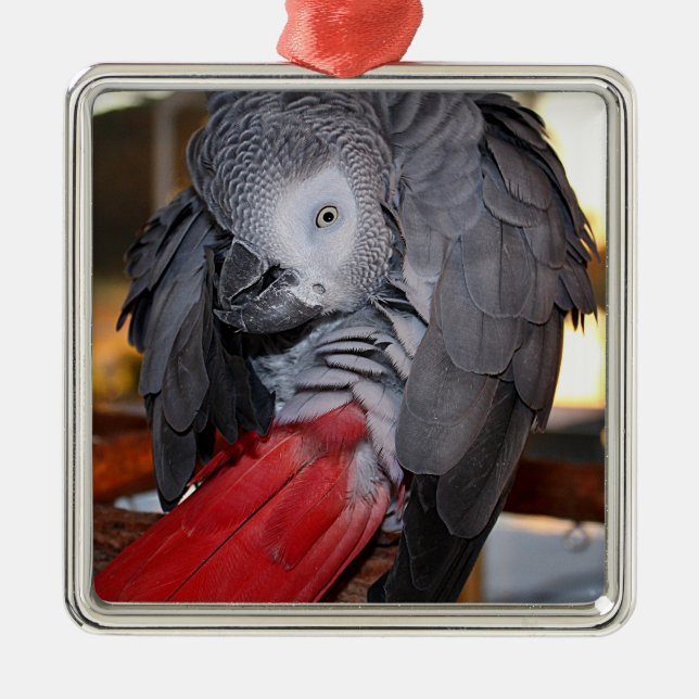 Flexibel Kongo Afrikas Grått Parrot med Röda Svan Julgransprydnad Metall (Framsidan)