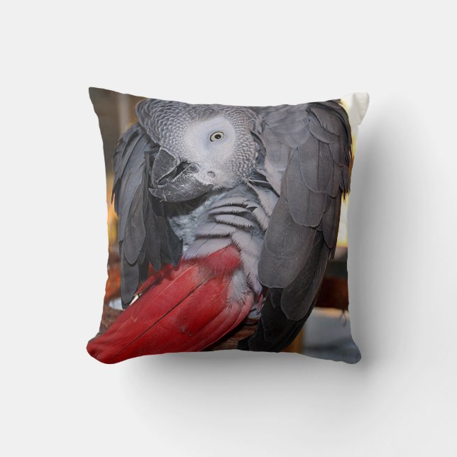 Flexibel Kongo Afrikas Grått Parrot med Röda Svan Kudde (Framsida)