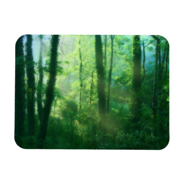 Flexibel magnet för fertilitet (Horisontell)