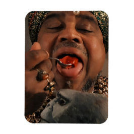 Flexibel magnet i Indiska fejder