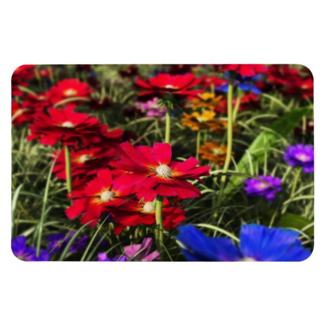 Flexibel Magnet i Iridescent Vår (Horisontell)