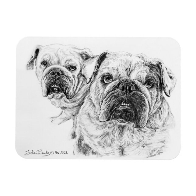 Flexibel magnet på Bald Divas! (Horisontell)