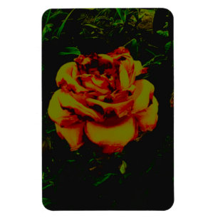 Flexibel Photo Magnet golden eco