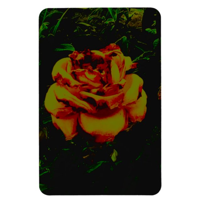Flexibel Photo Magnet golden eco (Vertikal)