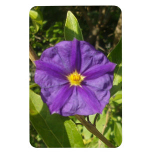 Flexibel Photo Magnet lila eco