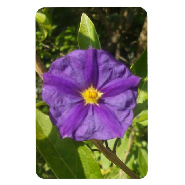 Flexibel Photo Magnet lila eco (Vertikal)