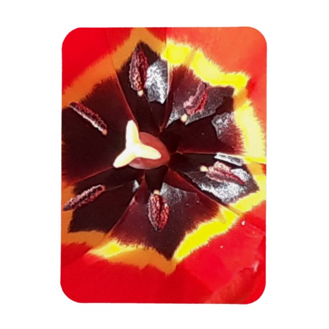 Flexibel scarlet Red Tulip Magnet (Vertikal)