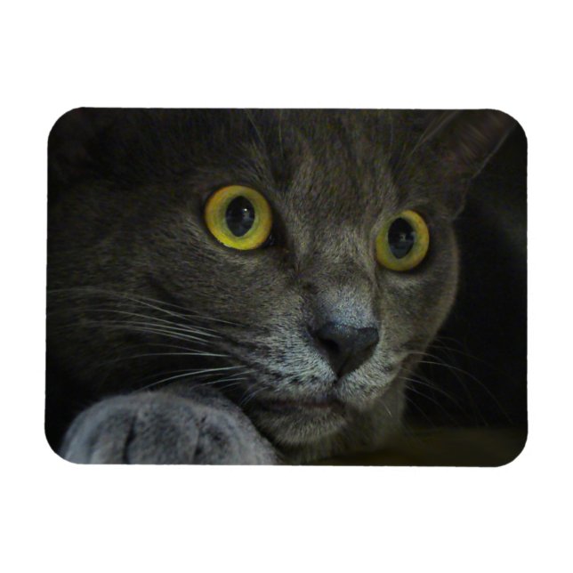 Flexibel storhet magnet (Horisontell)