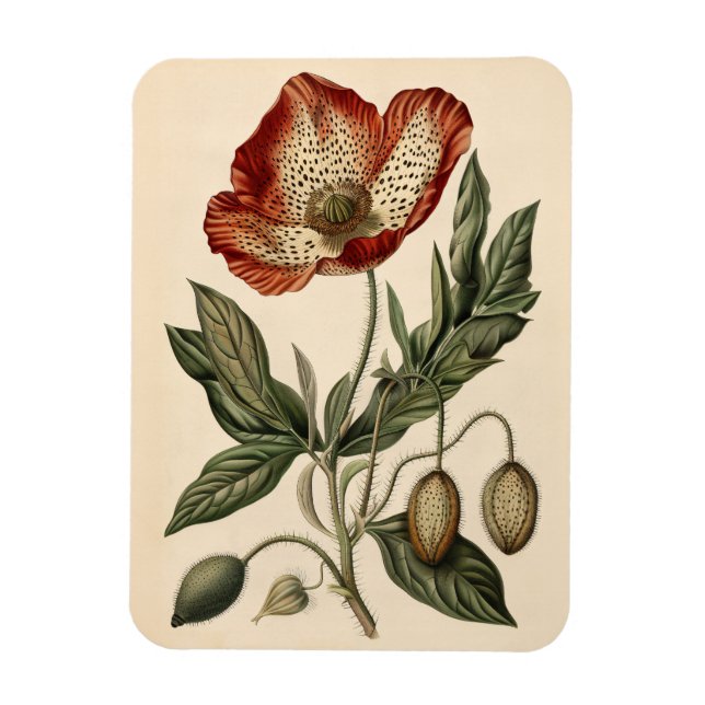 Flexibel vintage - botanisk illustration magnet (Vertikal)